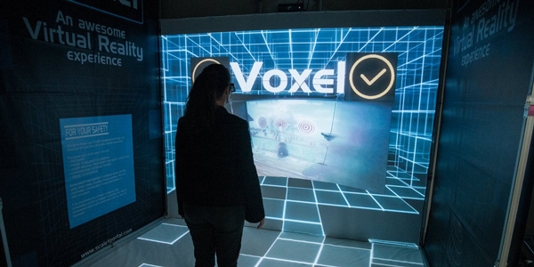 Scale-1 Portal Voxel