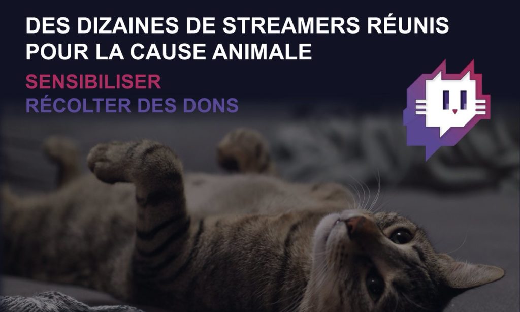 Sans Croquettes Twitch