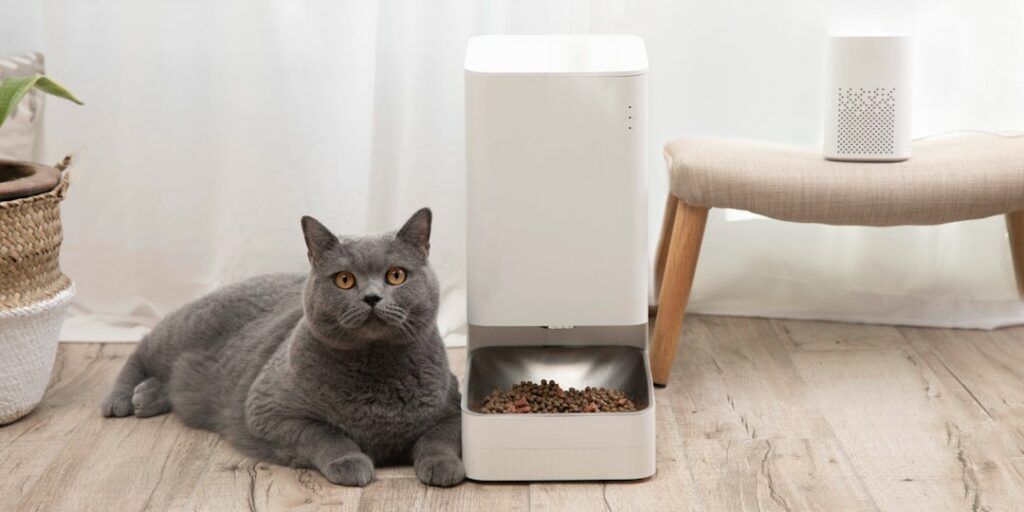 Xiaomi Smart Pet Feeder - Xiaomi Pet Fountain