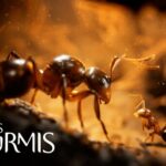 Les Fourmis , Microids , Tower Five , Bernard Werber