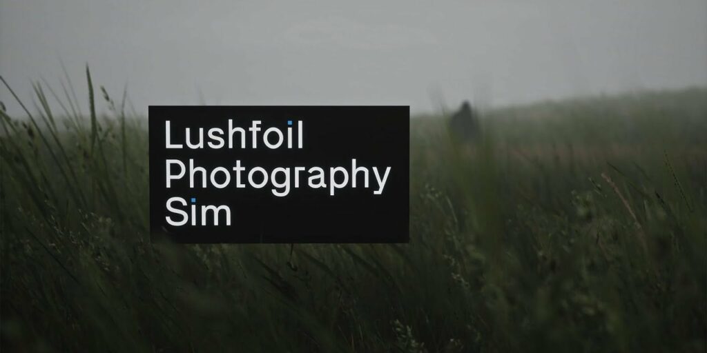 Lushfoil Photography Sim , Annapurna Interactive , Matt Newell