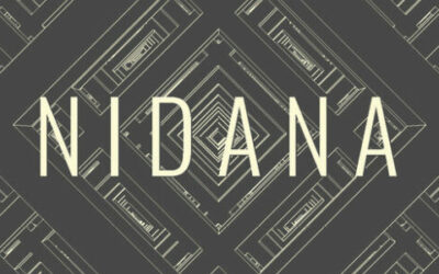 NIDANA est disponible via Steam