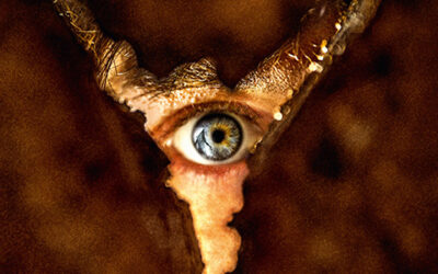 Retour à Silent Hill arrive le 4 février 2026 au cinéma