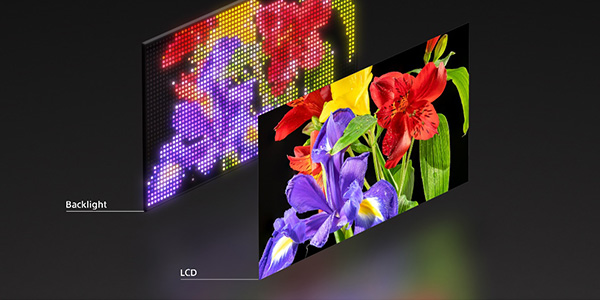IFA 2025 , Sony , LED RVB, LED RGB , XR Backlight Master Drive