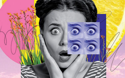 Festival Ptit Clap – Lancement de la 17e édition